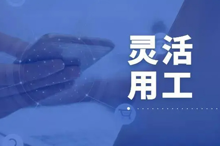 国资灵活用工平台：解锁多元化就业选择